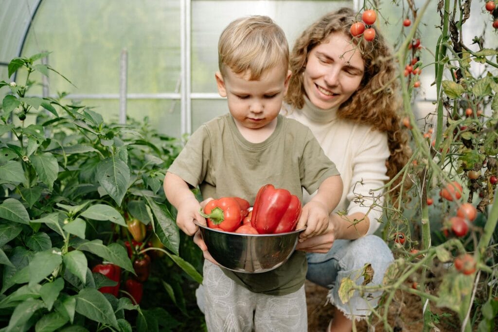 A mother and her son pick fresh red peppers in a lush greenhouse setting.