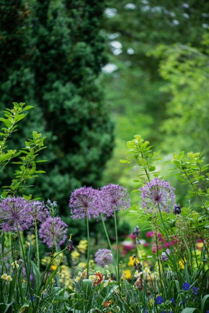 Home Garden Sanctuary: Transform Your Chaotic Space Into Family Heaven