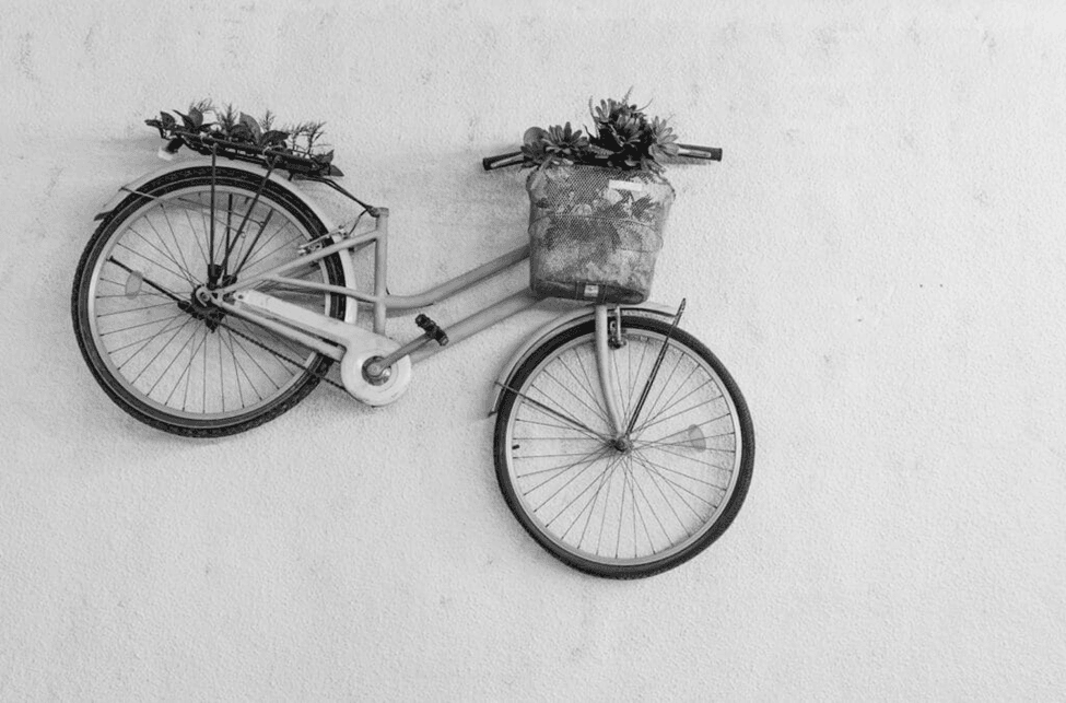 Upcycle Your Way to Unique Garden Features