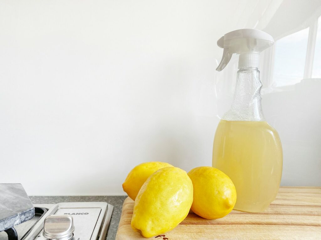 Chemical-Free Cleaning Kit