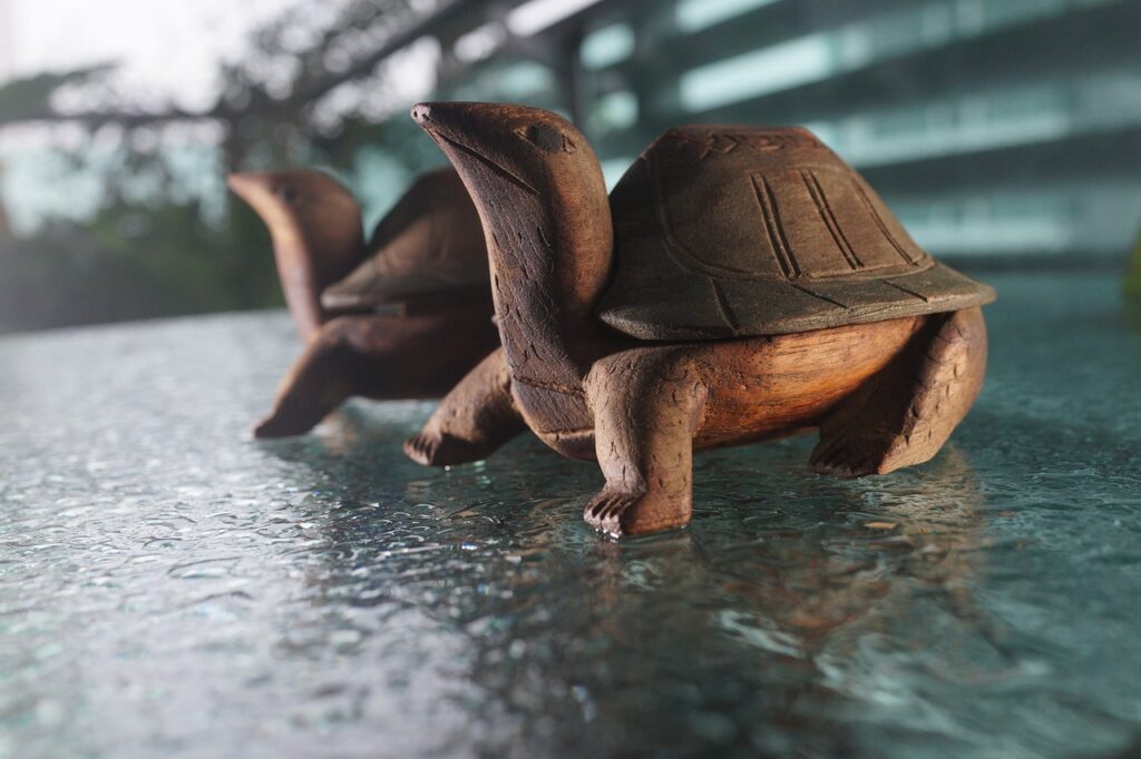 tortoise, slow and steady, crawl, armor, shell, steady, tough, old, wet day, steady, steady, steady, steady, steady