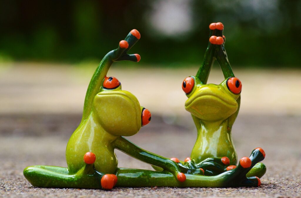 sports, gymnastics, frog, fun, fitness, fit, athletic, training, gymnastics, gymnastics, gymnastics, gymnastics, frog, frog, frog, frog, frog, fitness, fitness, fitness, training, training, training, Slow and Steady Fitness Journey