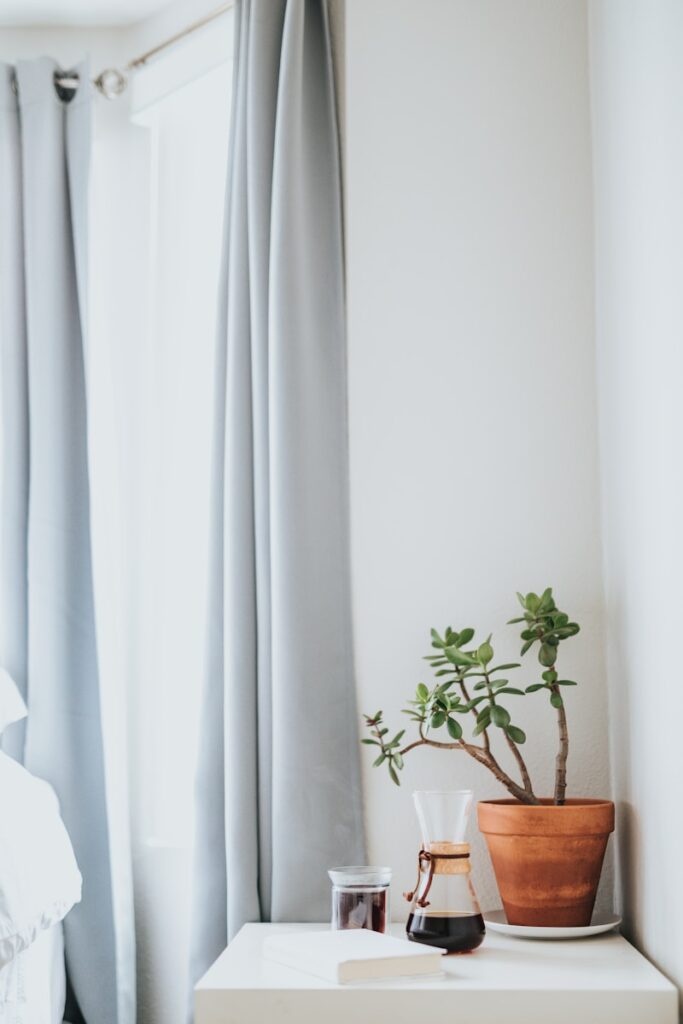 brown pot with green leafed plant on top of white wooden side table, Healthy Home Tips