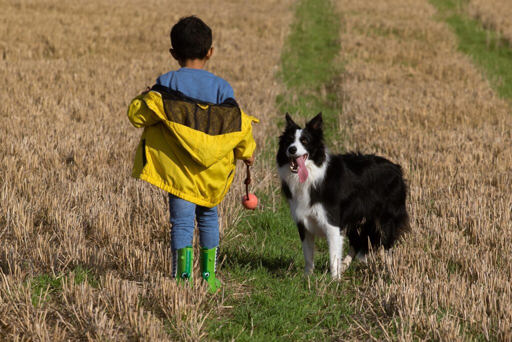 boy and dog in field, boy and dog, boy in yellow, child and dog, boy and dog standing, boy and dog playing, animal, canine, young, pet, play, child, dog, AAFCO guidelines