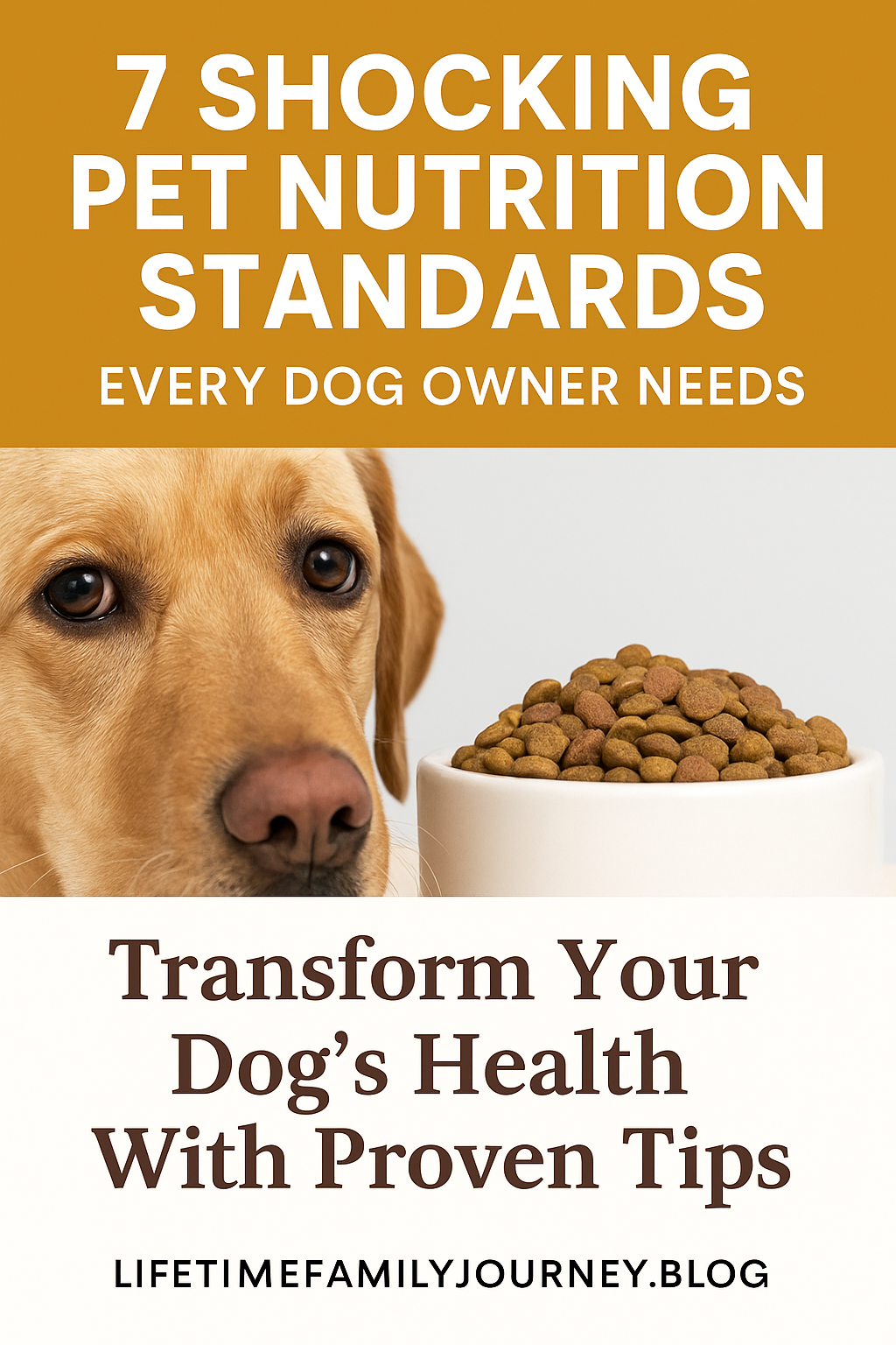 7 Shocking Pet Nutrition Standards Every Dog Owner Needs
