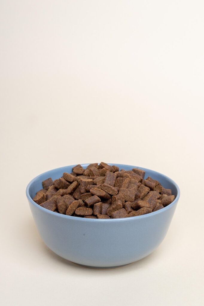 dry dog food, dog food, dog kibble, kibble, dog food, dog food, dog food, dog food, dog kibble, kibble, kibble, kibble, kibble, kibble, pet nutrition standards