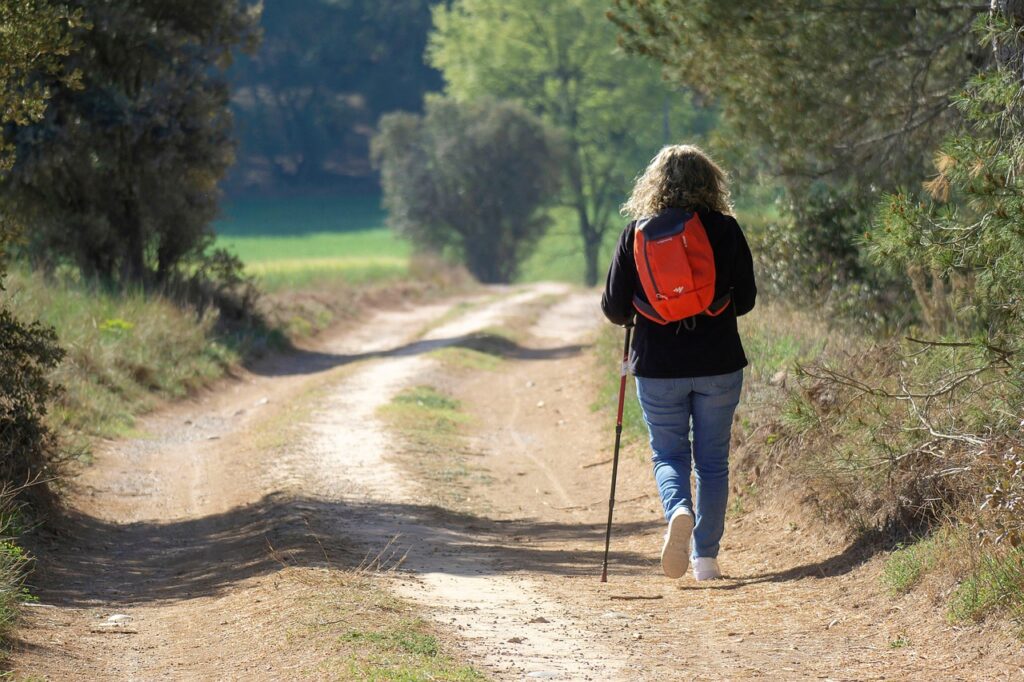 walking, trekking, hiking, exercise, sport, woman, landscape, nature, path, wellness, spring, backpack, forest, sunrise, trekking, trekking, trekking, hiking, exercise, exercise, exercise, exercise, exercise