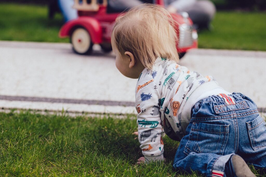 green, grass, playground, people, kid, child, baby, nature, toddler, crawling, outside