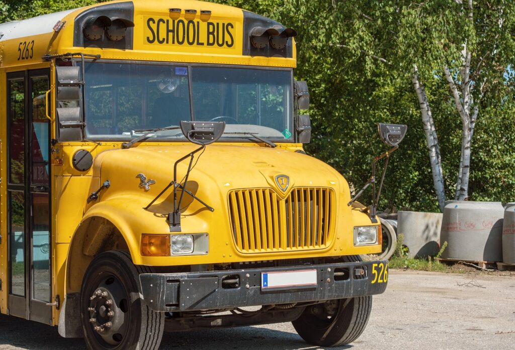 bus, school bus, yellow, back to school, vehicle, transport, school, student vehicle, training, school bus, school bus, school bus, school bus, school bus