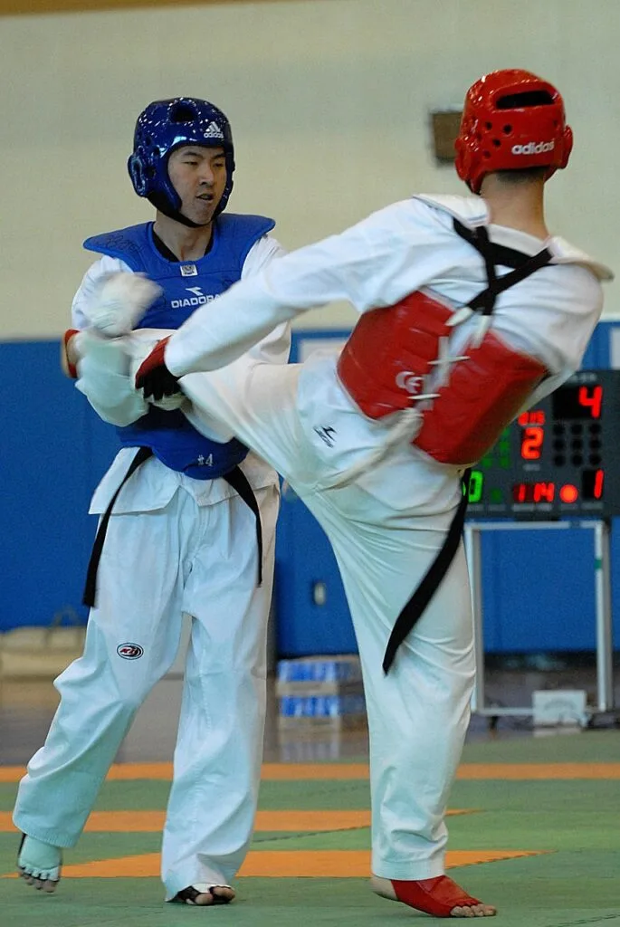 taekwondo, sport, competition, men, males, training, ancient, mat, sports, kicking, taekwondo, taekwondo, taekwondo, taekwondo, taekwondo