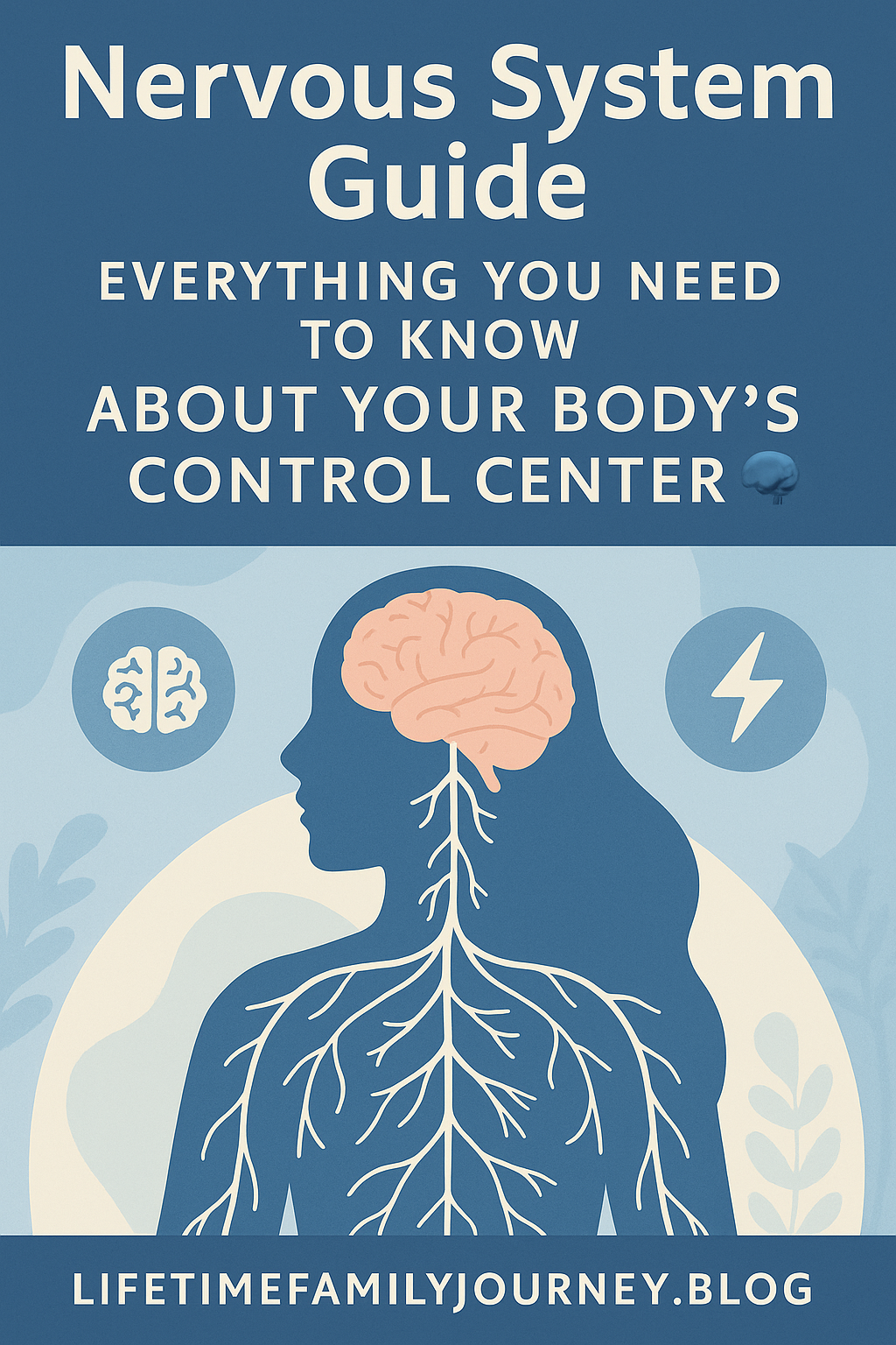 Nervous System Guide: Everything You Need to Know About Your Bodyโs Control Center ๐ง โก