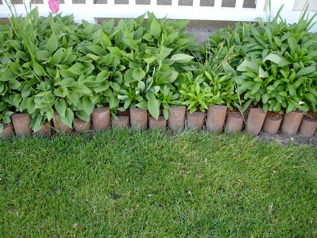 Garden Edging Ideas: Best Tree Rings, Stone, Plastic & Eco Tips