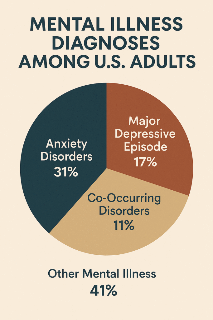 Pie chart of anxiety, depression, co-occurring disorders, and other mental illnesses