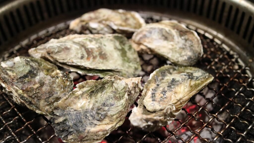 oyster, oysters, shell, mussel, dried scallops, seafood, barbecue, oyster, oyster, oyster, oyster, oyster, oysters, oysters, oysters