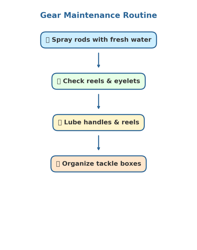 Vertical infographic showing gear maintenance routine: spray rods with fresh water, check reels and eyelets, lube handles and reels, and organize tackle boxes.