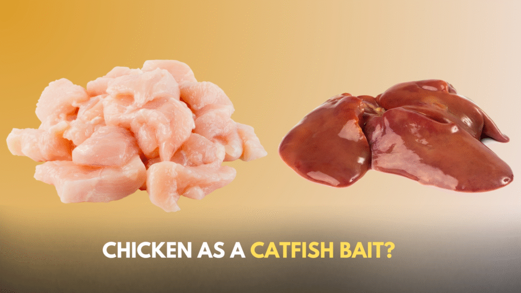 Raw chicken chunks next to organ meat, illustrating catfish bait components.