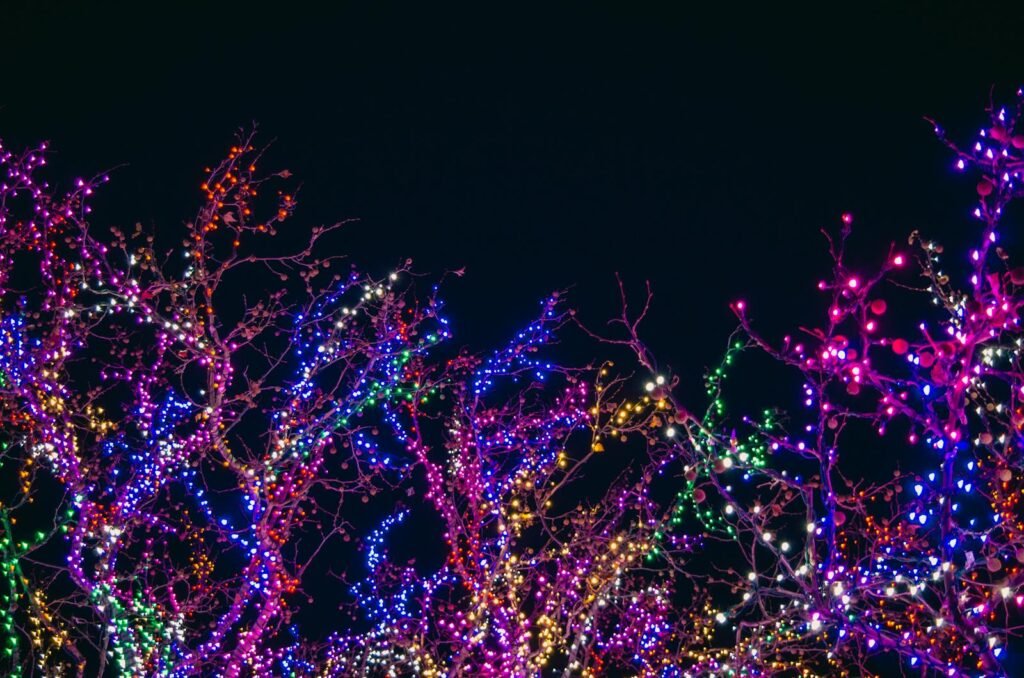 Colorful holiday lights illuminating tree branches against a dark night sky, perfect for festive backgrounds.