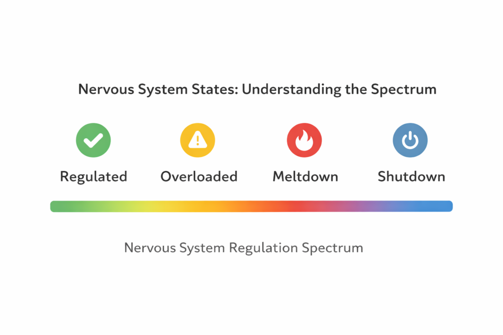 Nervous system regulation spectrum showing regulated, overloaded, meltdown, and shutdown states in autism